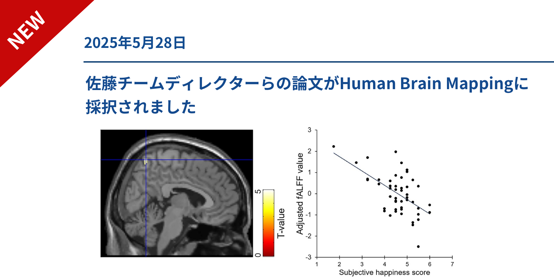佐藤チームディレクターらの論文がHuman Brain Mappingに採択されました